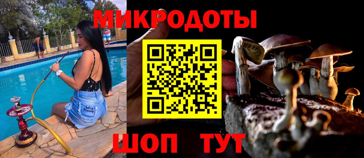 Галлюциногенные грибы MAGIC MUSHROOMS Киров